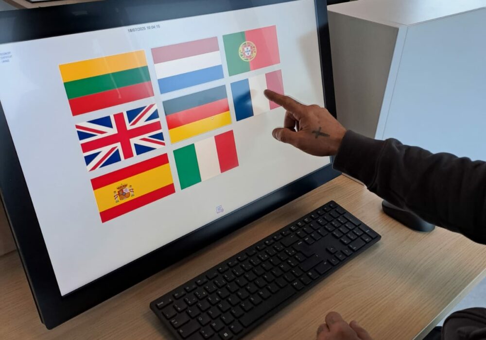 Borne-chauffeur-choix de langue